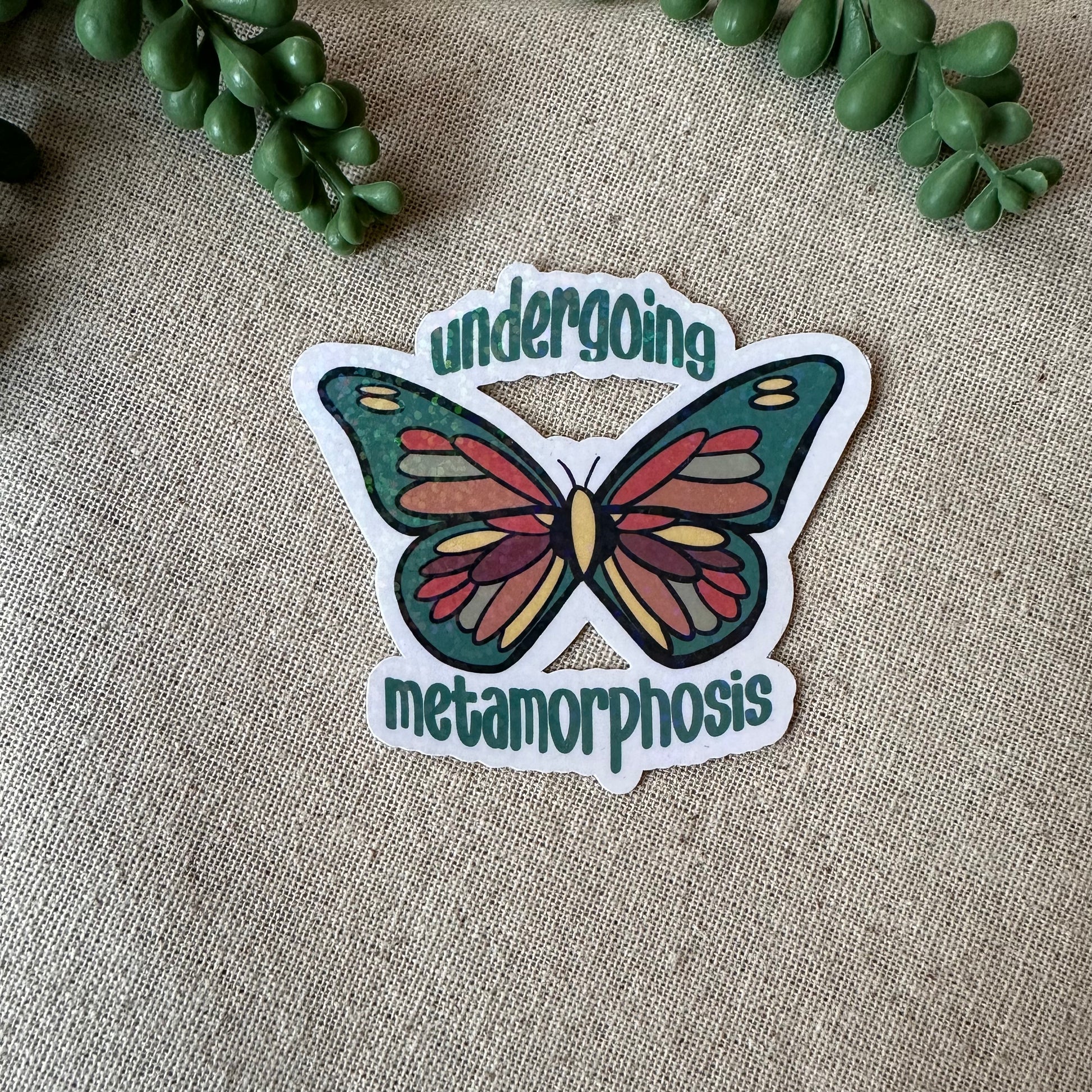 Metamorphism Sticker Metamorphosis Butterfly Sticker – Henke House